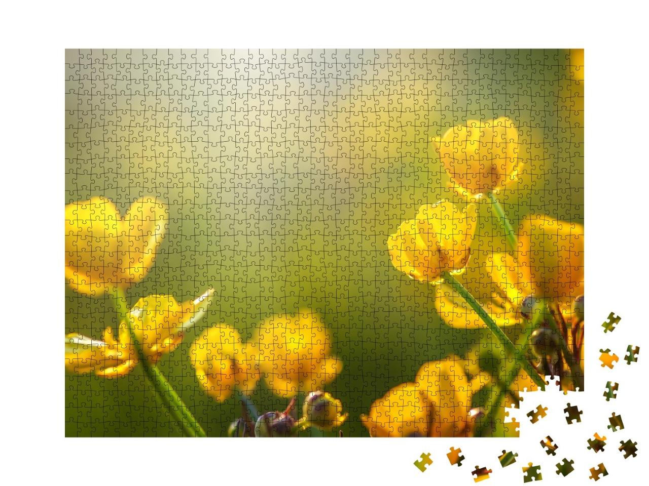Puzzle de 1000 pièces « Champ de fleurs printanières au soleil »