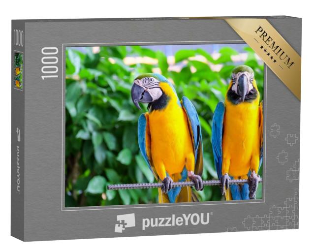 Puzzle de 1000 pièces « Perroquet ara à longue queue avec plumes multicolores »