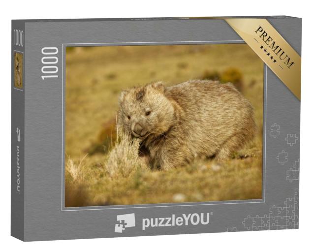 Puzzle de 1000 pièces « Wombat dans la Tasmanie du soir »