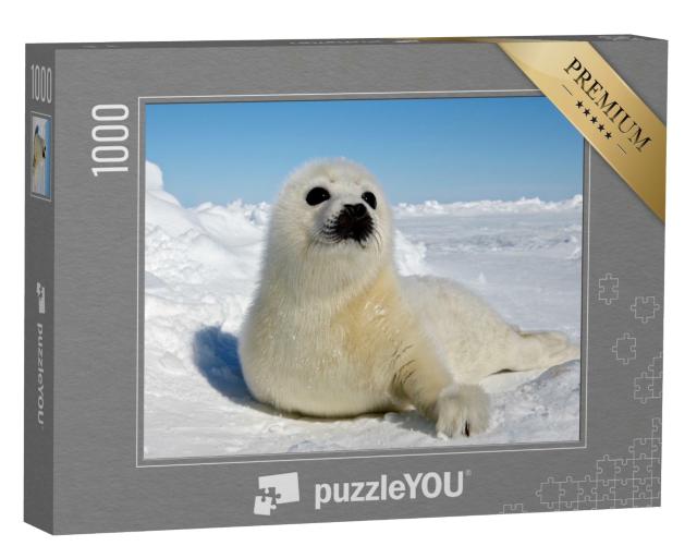 Puzzle de 1000 pièces « Bébé phoque du Groenland, Îles de la Madeleine »