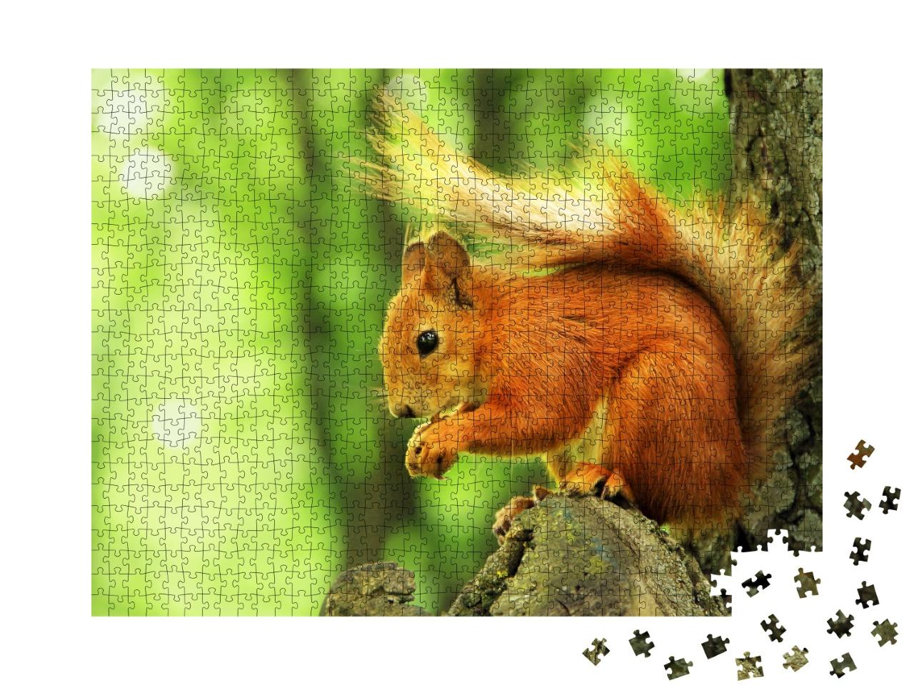Puzzle de 1000 pièces « Bel écureuil rouge dans le parc »