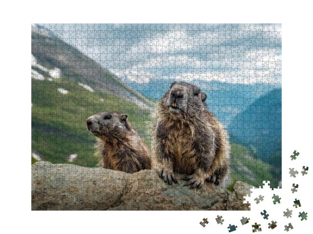 Puzzle de 1000 pièces « Deux marmottes et une belle vue sur le Grossglockner »