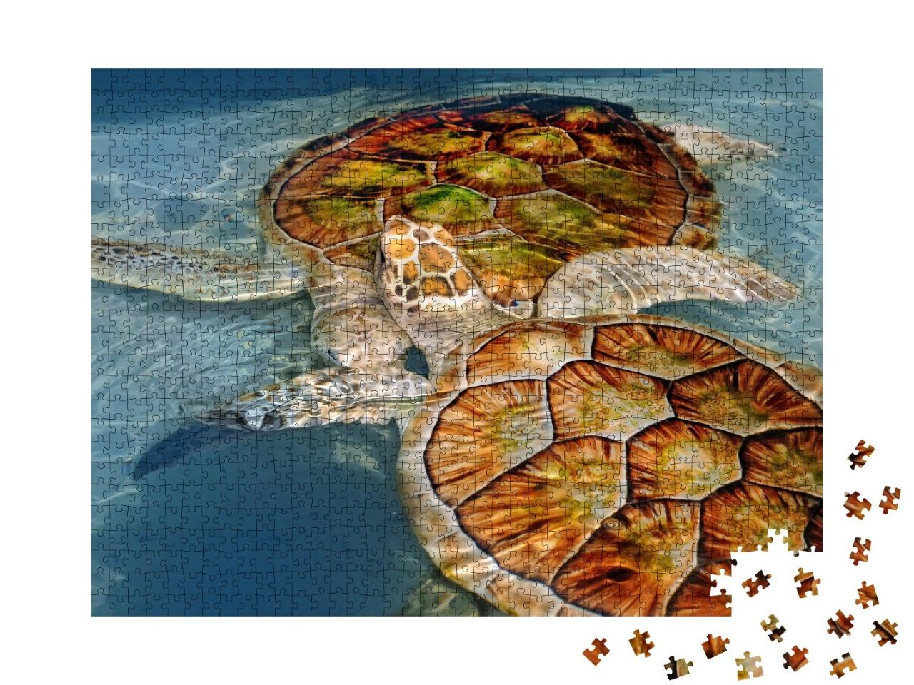 Puzzle de 1000 pièces « Deux tortues d'eau »