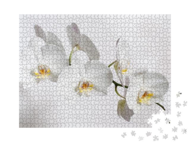 Puzzle de 1000 pièces « Charmante orchidée blanche »