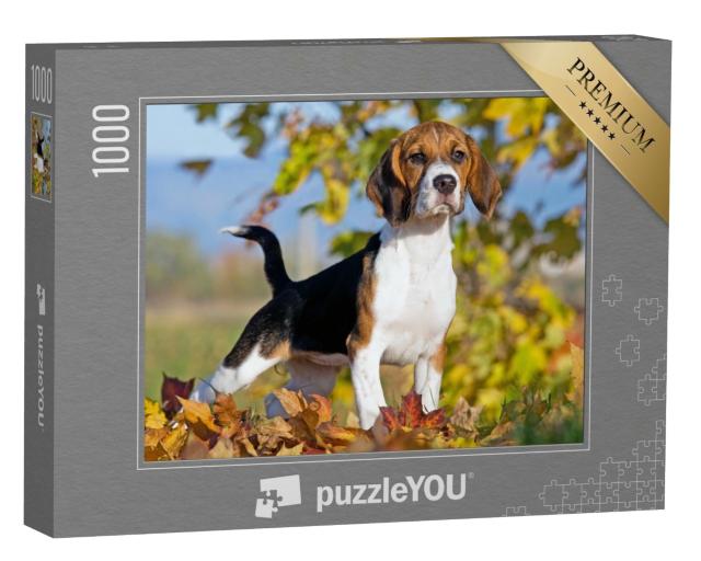 Puzzle de 1000 pièces « Portrait d'un beagle »