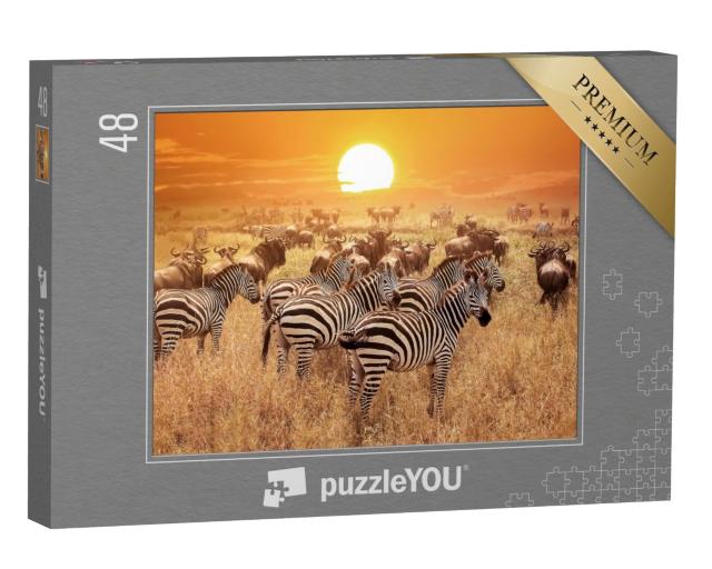 Puzzle de 48 pièces « Zèbre au coucher du soleil dans le parc national du Serengeti, Afrique, Tanzanie »