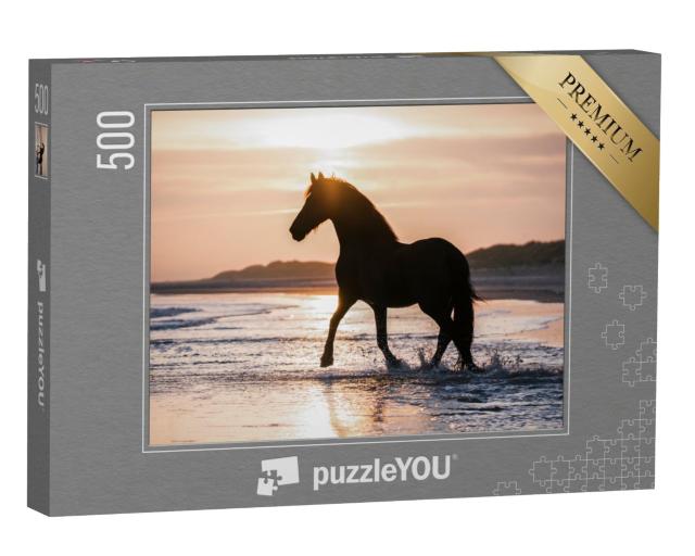 Puzzle de 500 pièces « Cheval noir trottant librement sur la plage contre la lumière du soir »