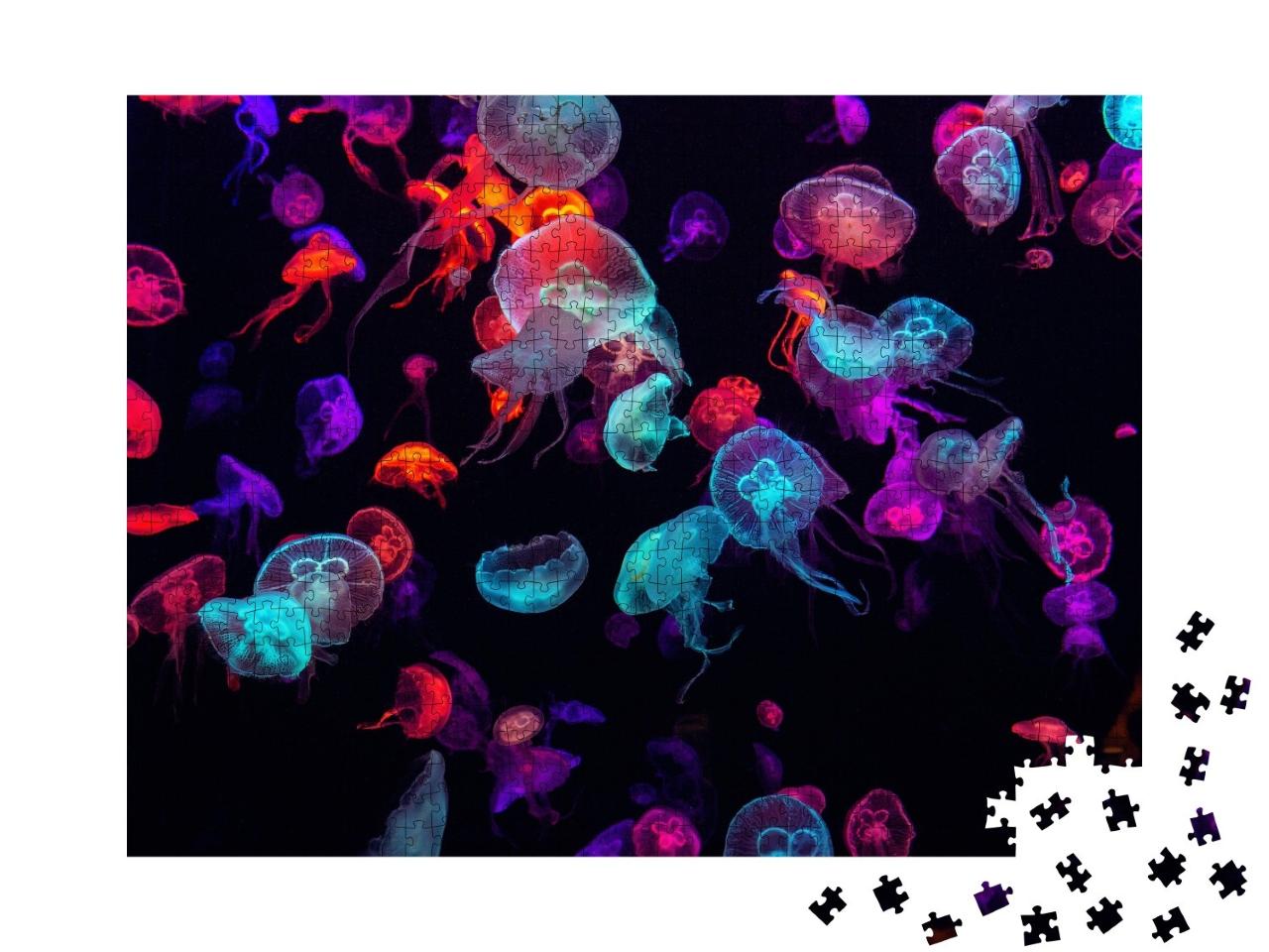 Puzzle de 1000 pièces « Des méduses multicolores sous l'eau »