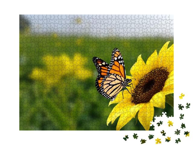 Puzzle de 1000 pièces « Papillon monarque sur un tournesol »