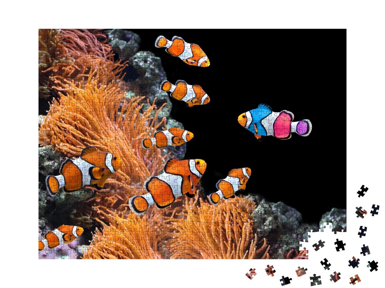 Puzzle de 1000 pièces « Banc de poissons-clowns standard et un poisson multicolore »