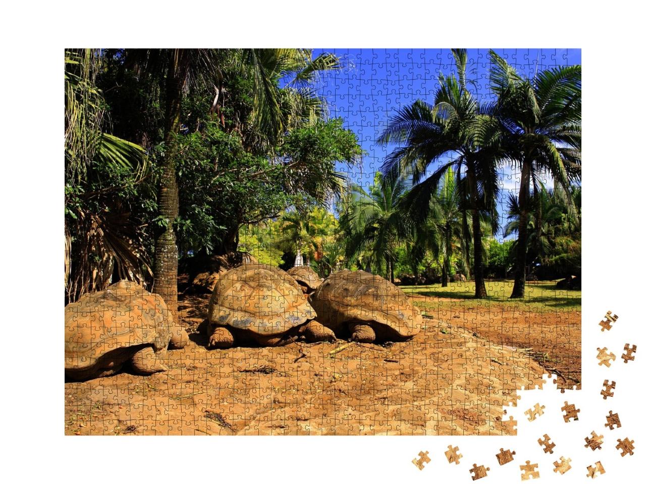Puzzle de 1000 pièces « Trois grandes tortues géantes à l'île Maurice »
