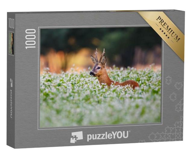 Puzzle de 1000 pièces « Chevreuils dans un champ de fleurs »