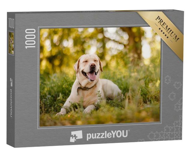 Puzzle de 1000 pièces « Labrador Retriever doré lors d'une pause dans le parc »