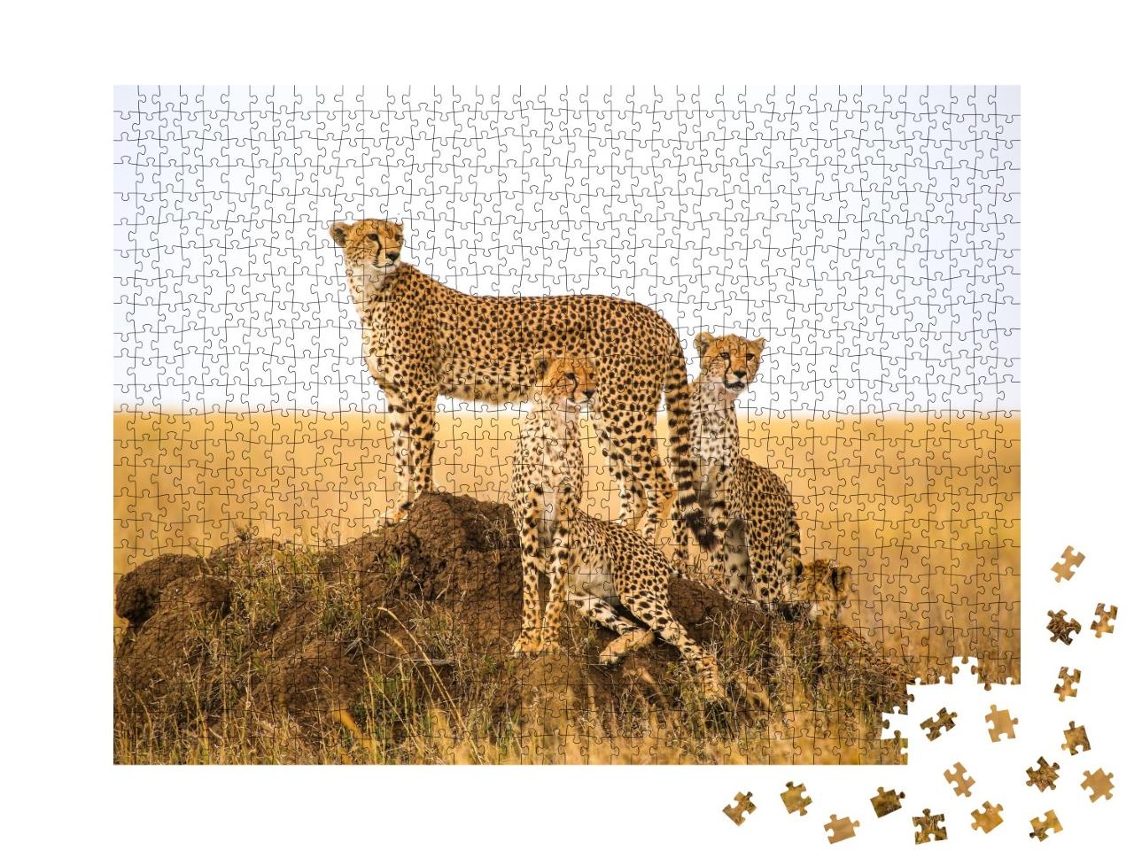 Puzzle de 1000 pièces « Guépards dans le parc national du Serengeti, Tanzanie »