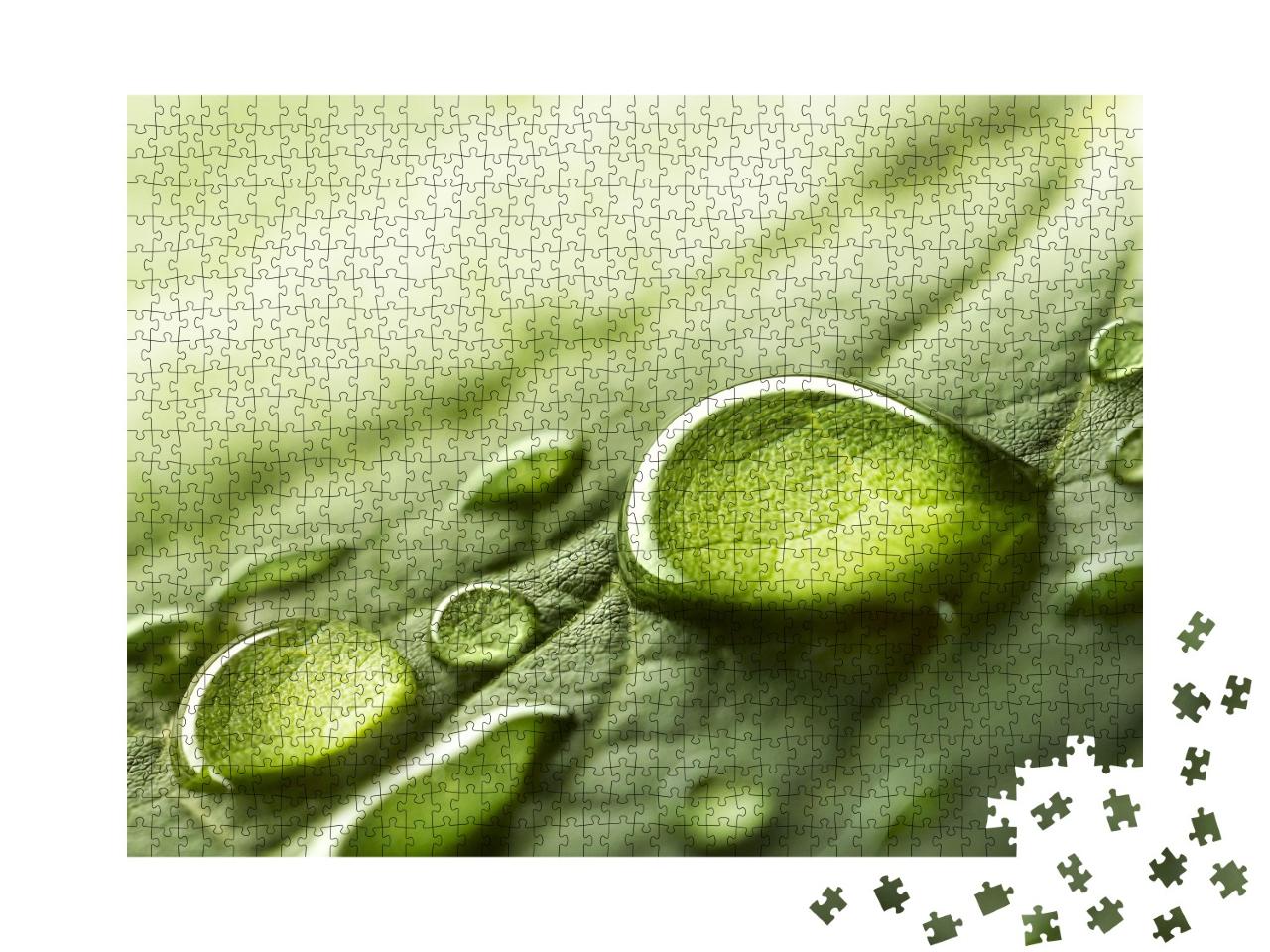 Puzzle de 1000 pièces « Gouttes d'eau de pluie sur une feuille verte »