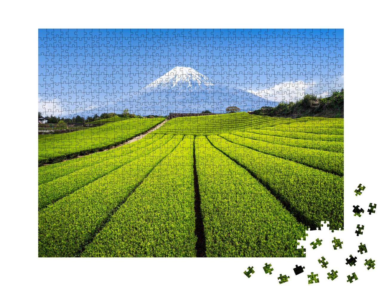 Puzzle de 1000 pièces « Mont Fuji avec plantation de thé vert, préfecture de Shizuoka, Japon »