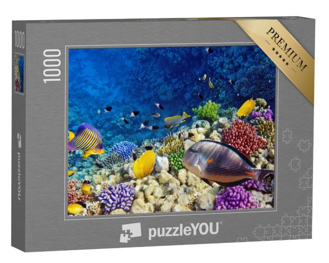 Puzzle de 1000 pièces « Coraux et poissons multicolores en mer Rouge, près de l'Égypte »