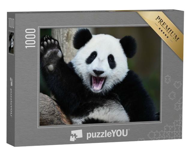 Puzzle de 1000 pièces « Un panda joueur »