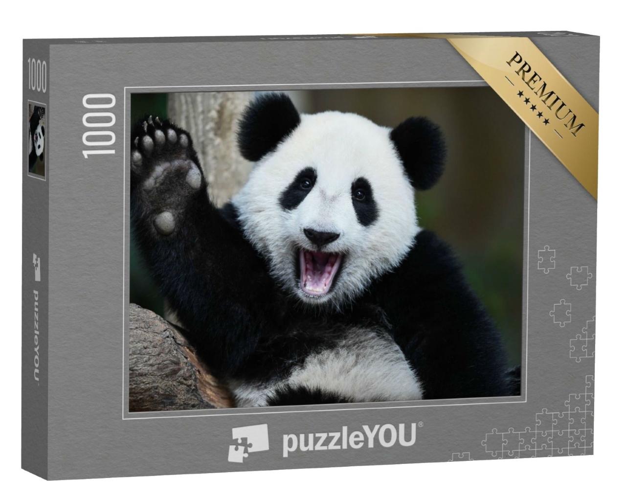 Puzzle de 1000 pièces « Un panda joueur »