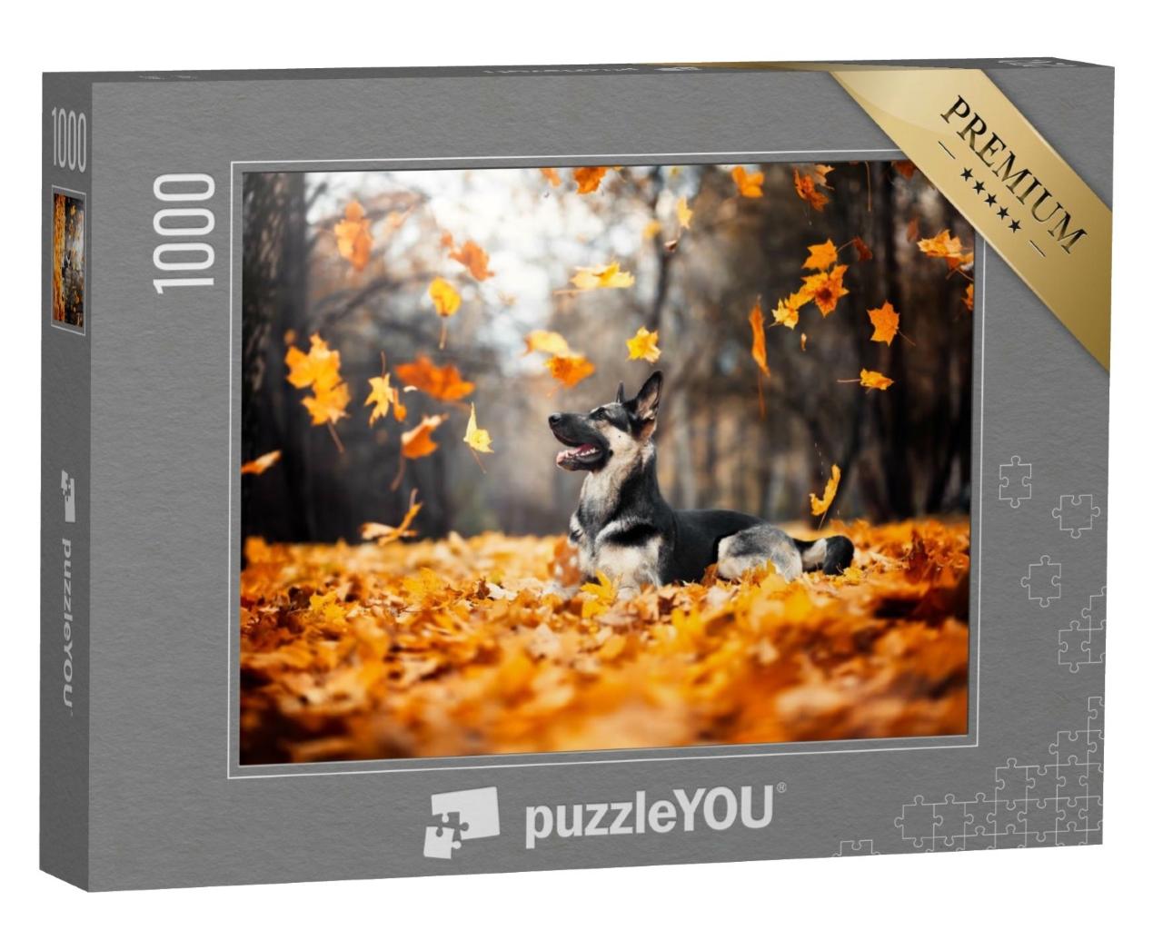 Puzzle de 1000 pièces « Chien de berger dans les feuilles d'automne tourbillonnantes »