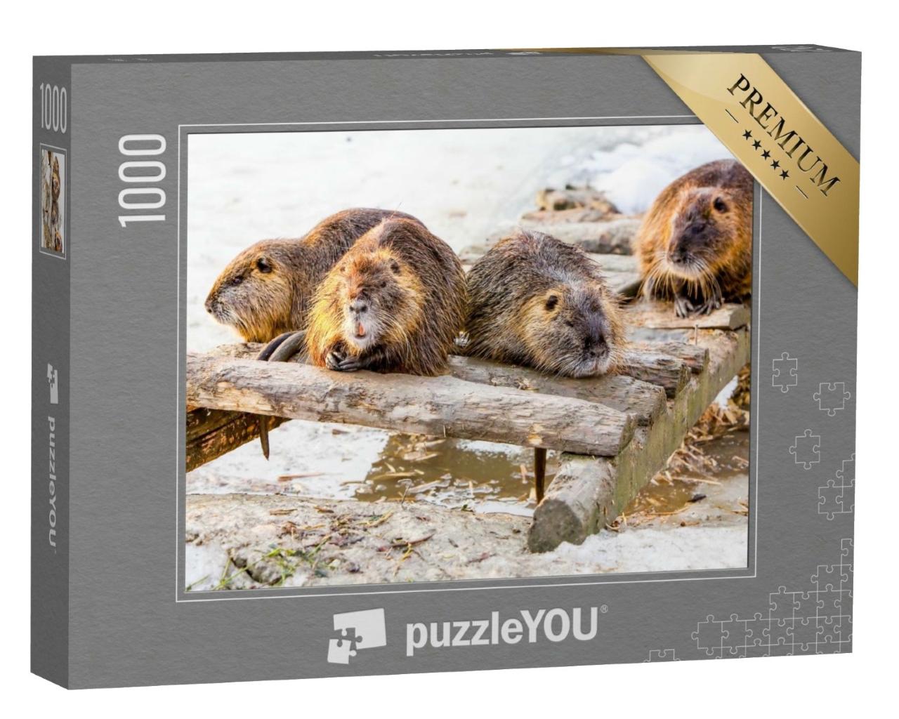 Puzzle de 1000 pièces « Une famille de castors fait une pause »