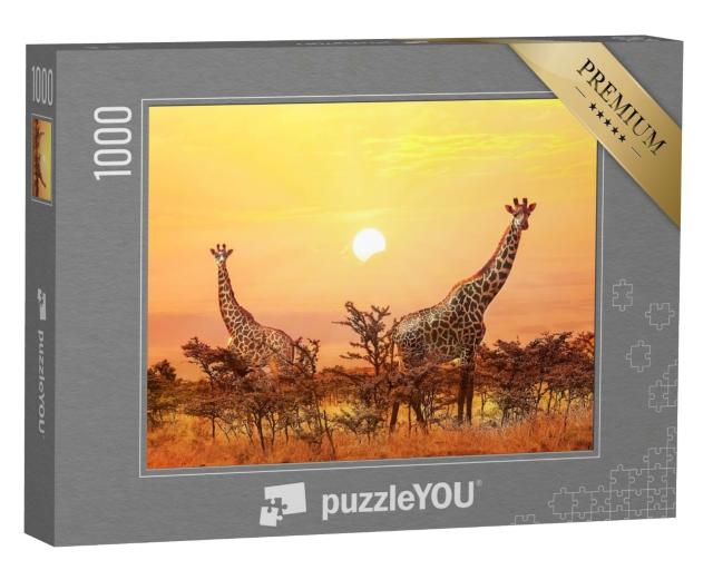 Puzzle de 1000 pièces « Majestueuses girafes au coucher du soleil »