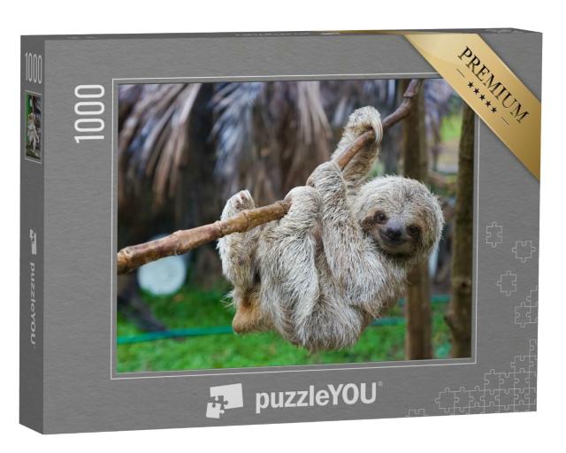 Puzzle de 1000 pièces « Un paresseux »