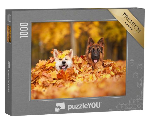 Puzzle de 1000 pièces « Deux chiens jouent dans les feuilles d'automne »