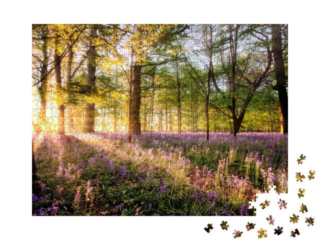 Puzzle de 1000 pièces « Campanules dans la forêt au lever du soleil »