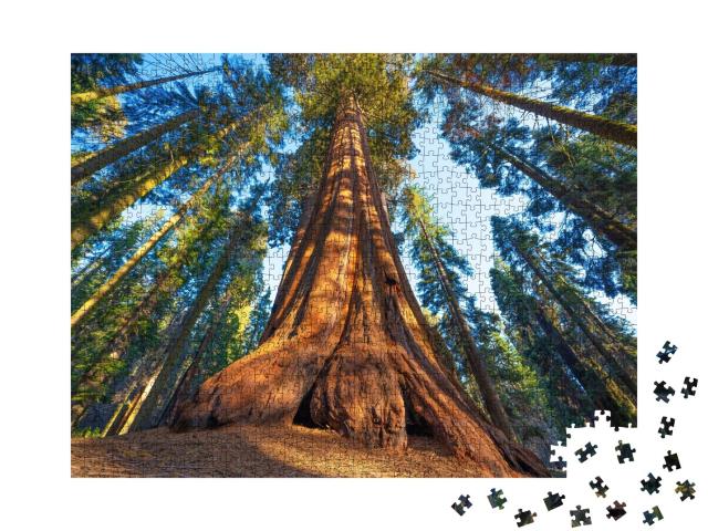 Puzzle de 1000 pièces « Un séquoia géant au coucher du soleil »