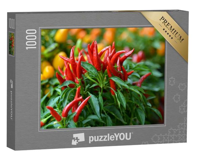 Puzzle de 1000 pièces « Chilis vus du ciel sur un arbuste »
