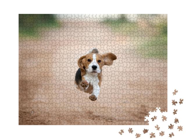 Puzzle de 1000 pièces « Un chiot beagle dans une arrière-cour »