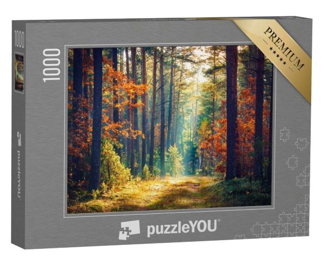 Puzzle de 1000 pièces « Forêt d'automne ensoleillée »