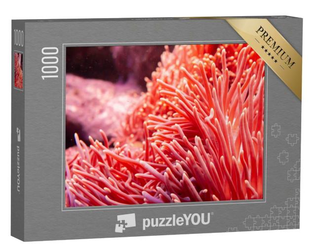 Puzzle de 1000 pièces « Corail rose dans le monde sous-marin »