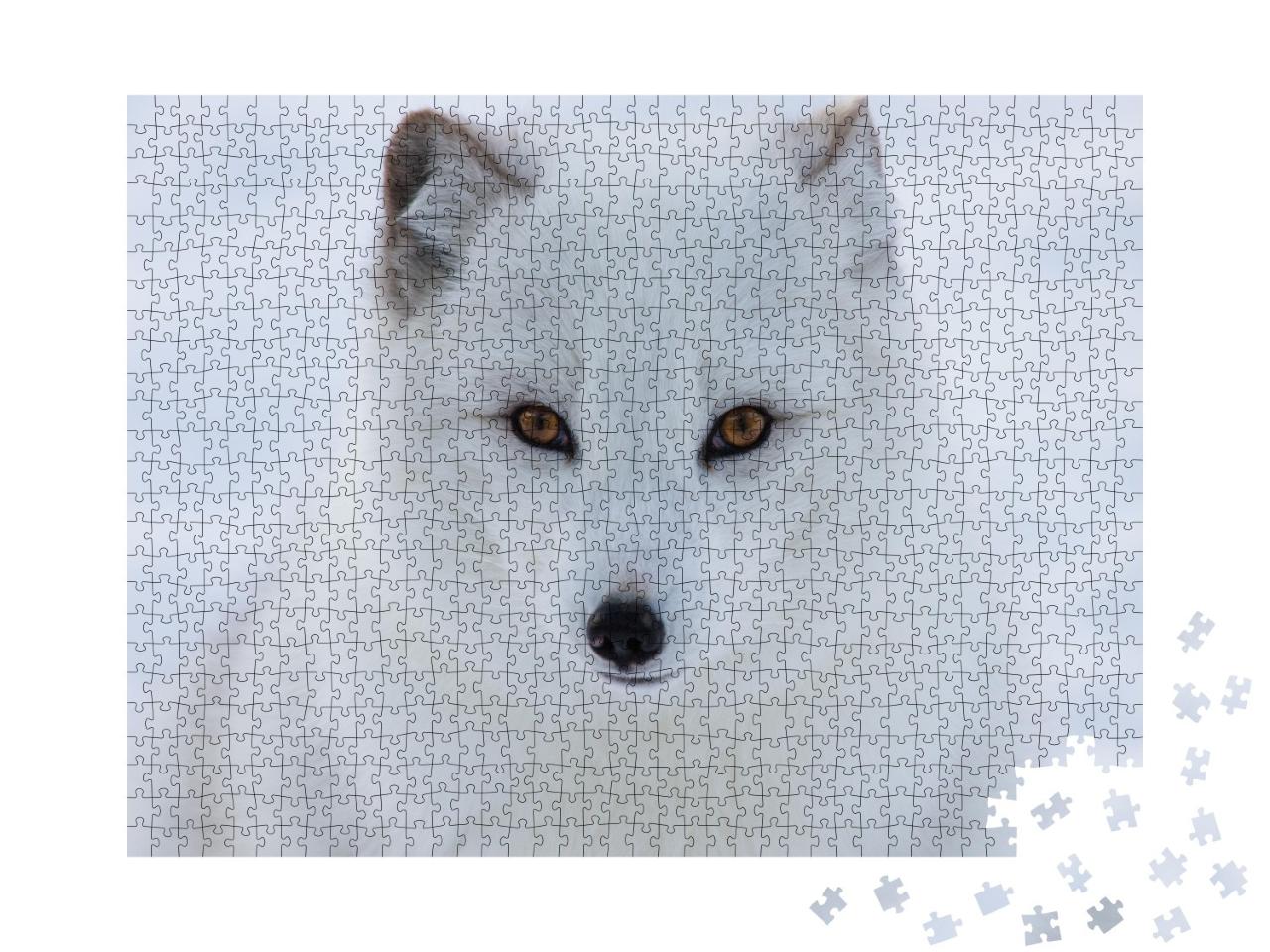 Puzzle de 1000 pièces « Portrait d'un renard polaire »