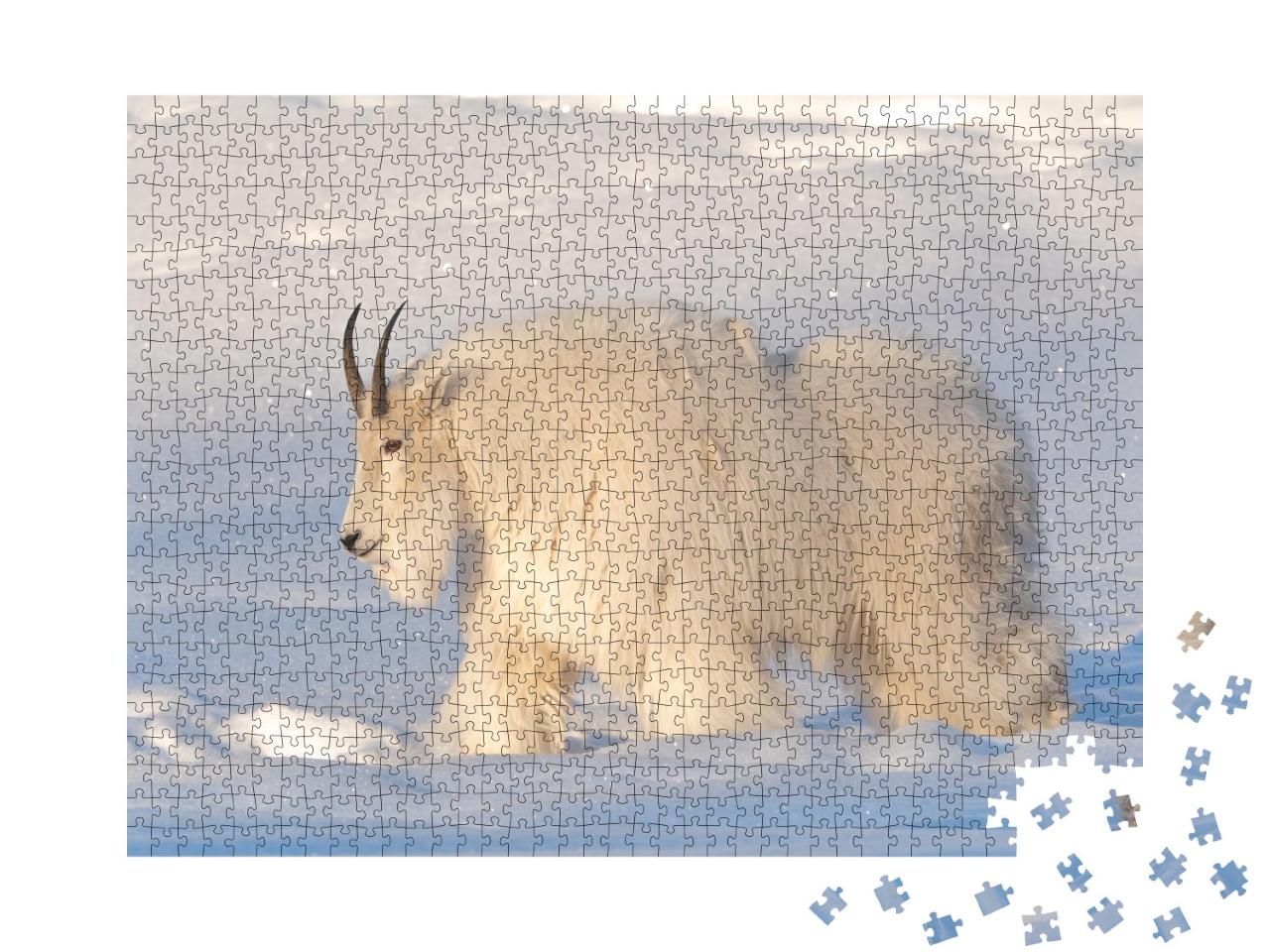 Puzzle de 1000 pièces « Une chèvre de montagne dans le nord du Canada »