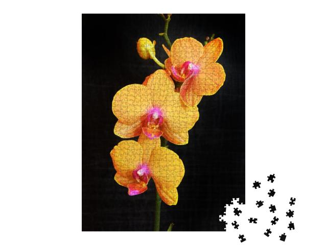 Puzzle de 1000 pièces « Orchidée phalaenopsis orange aux fleurs abondantes »