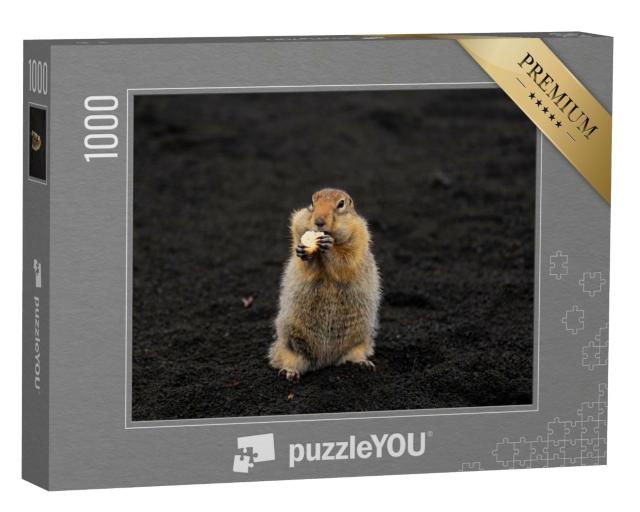 Puzzle de 1000 pièces « Un écureuil terrestre dans le sable volcanique »
