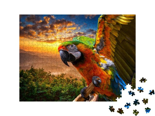 Puzzle de 500 pièces « Splendides couleurs de la nature : Ara au coucher du soleil »