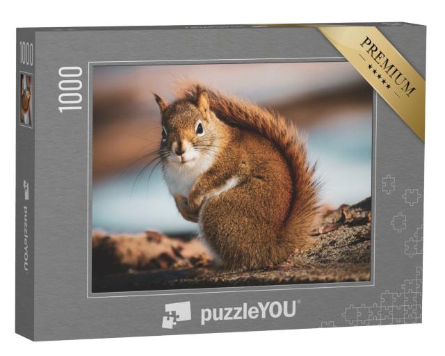Puzzle de 1000 pièces « Petit écureuil dans la forêt »