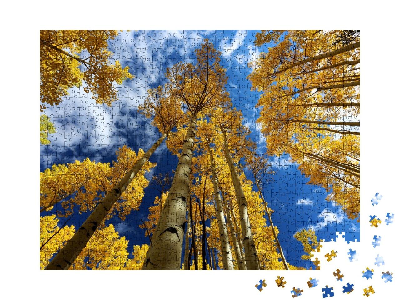 Puzzle de 1000 pièces « L'automne dans les Montagnes Rocheuses avec les Aspen dorés, Colorado »