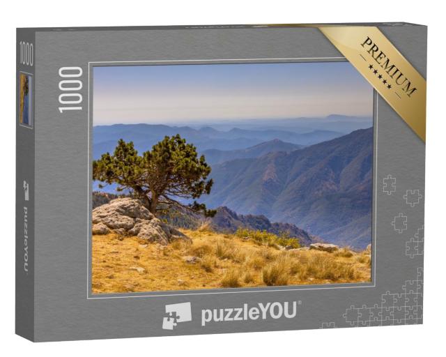 Puzzle de 1000 pièces « Paysage d'altitude sur le Mont Aigoual, Occitanie, France »