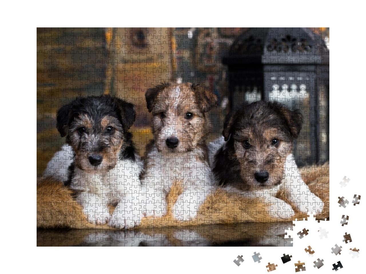 Puzzle de 1000 pièces « Adorables chiots fox-terriers sur leur couverture douillette »