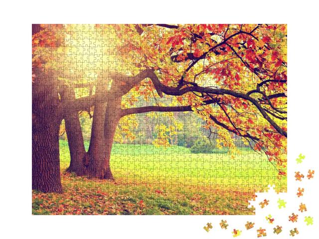 Puzzle de 1000 pièces « Paysage d'automne avec de vieux arbres »