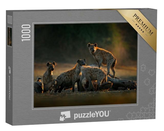 Puzzle de 1000 pièces « Troupeau de hyènes et vautours sur la carcasse d'un éléphant, Zimbabwe »