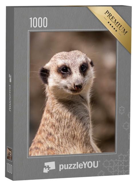 Puzzle de 1000 pièces « Les suricates au poste de garde »