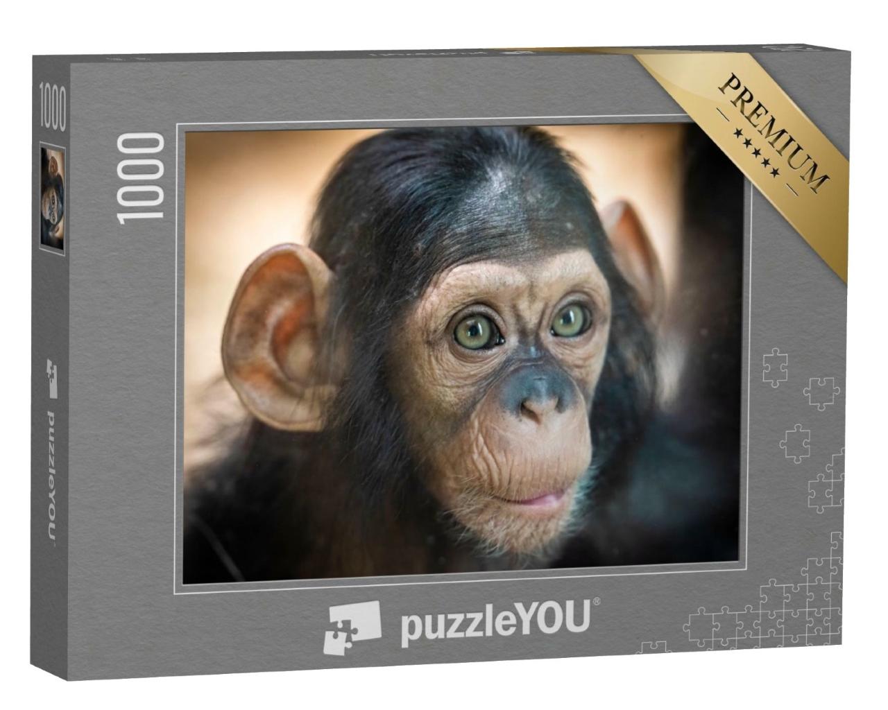 Puzzle de 1000 pièces « Portrait d'un bébé chimpanzé à Pilsen, République tchèque »