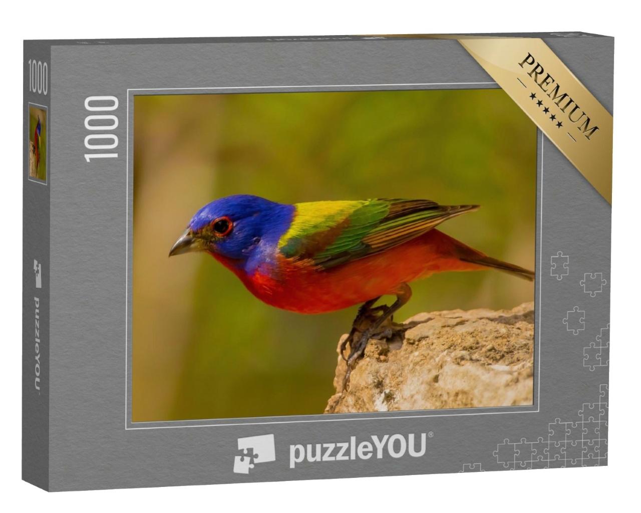 Puzzle de 1000 pièces « Le bruant des roseaux, le plus bel oiseau chanteur d'Amérique »