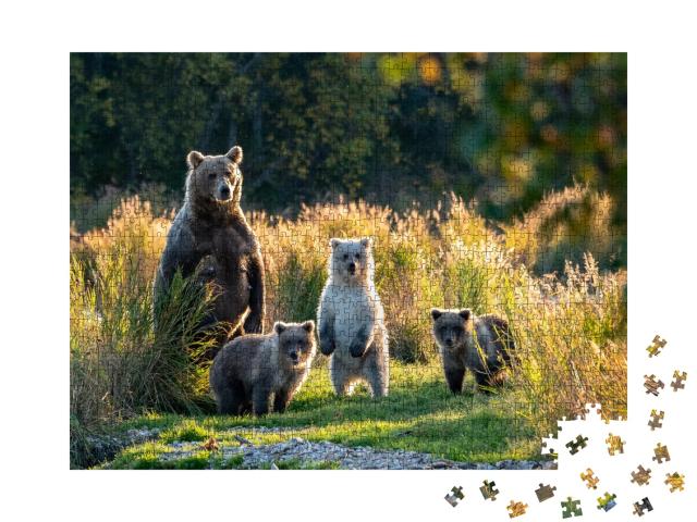 Puzzle de 1000 pièces « Une mère très occupée : une ourse brune d'Alaska avec trois adorables petits »