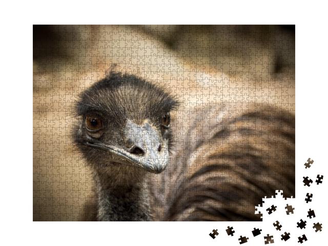 Puzzle de 1000 pièces « Emu »